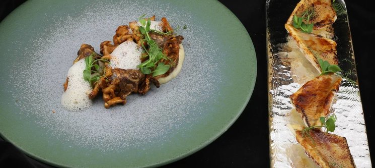 Filets de perches LOË laquées au miso blanc, chanterelles liées au chocolat blanc et noix de cajou, mousseline de topinambour
