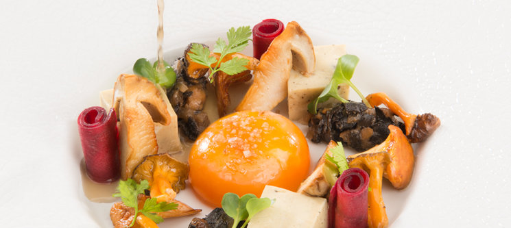 Jeu de textures et de cuissons autour des champignons d'automne et de l’œuf mollet, bouillon parfumé au thym