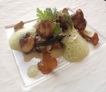 Croustillants de ris de veau sur risotto aux champignons - Emulsion de cresson et persil