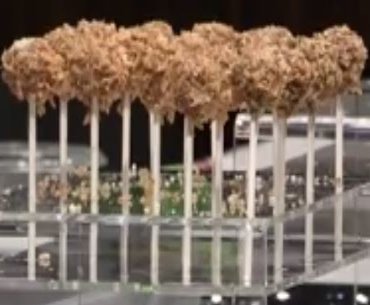 Diverses sucettes au chocolat